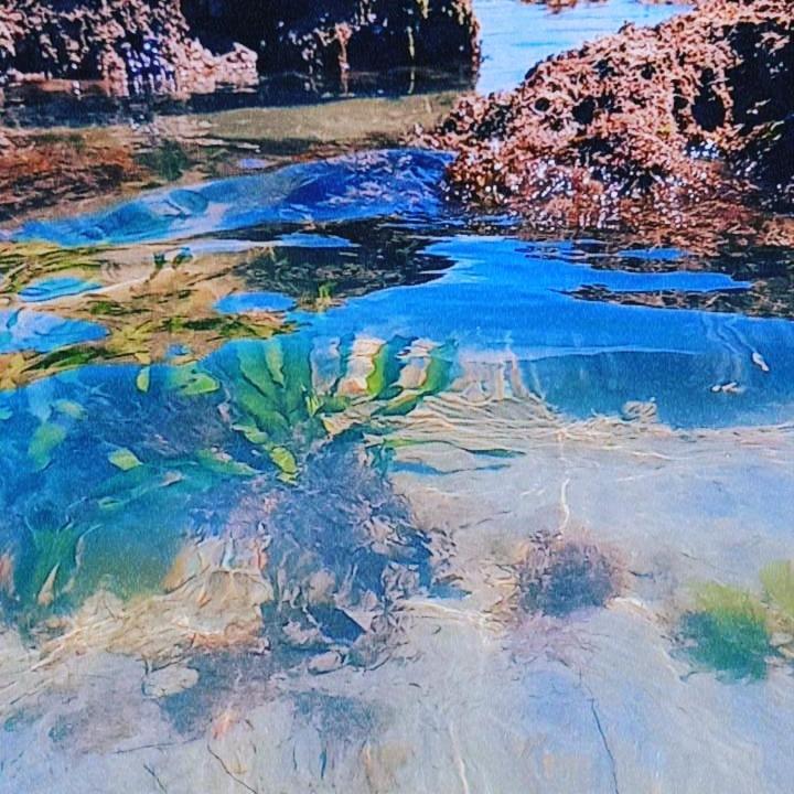 Хостел Aloha Икапуи Экстерьер фото
