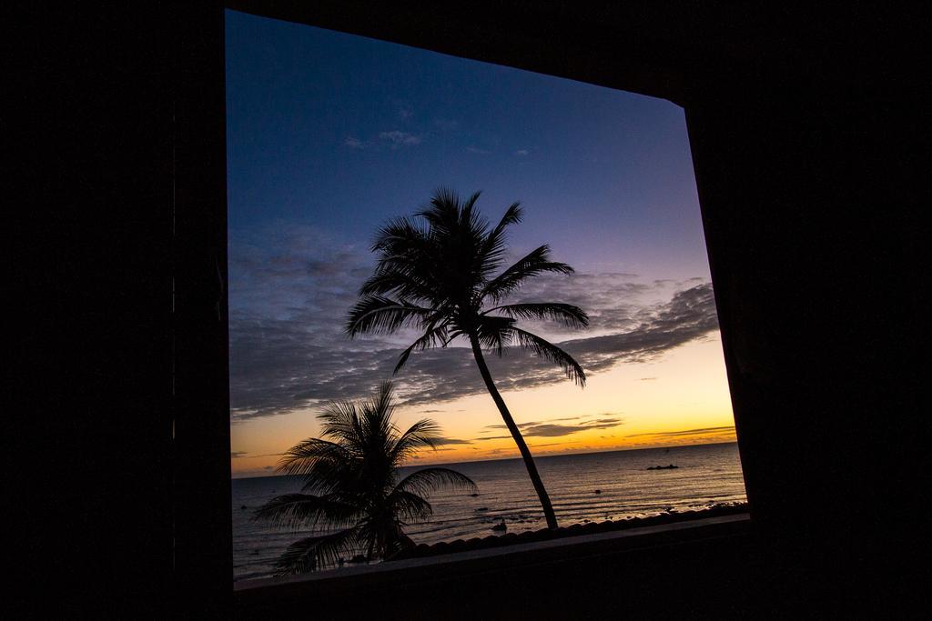 Хостел Aloha Икапуи Экстерьер фото